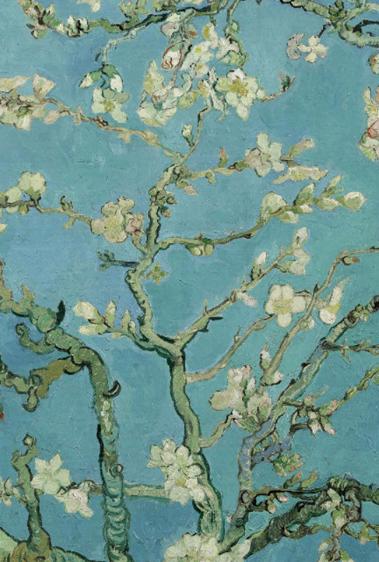 Motivbettwäsche Van Gogh - Mandelblüte Baumwolle
