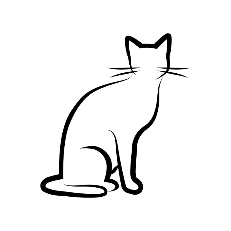 Bettwäsche-Set Black Cat 1 Baumwolle