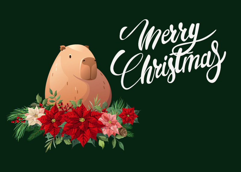 Merry capy christmas