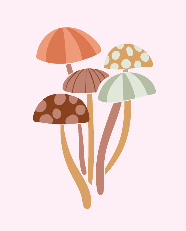 Wohndecke Pilze Wohndecke Pilze