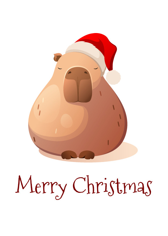 Geschirrtuch Weihnachtscapy mit Mütze