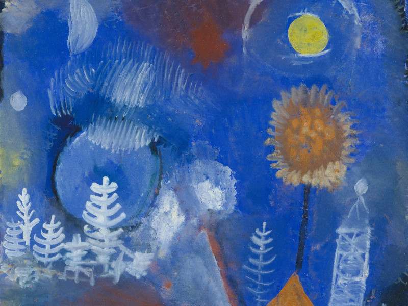 Fleece-Decke Klee