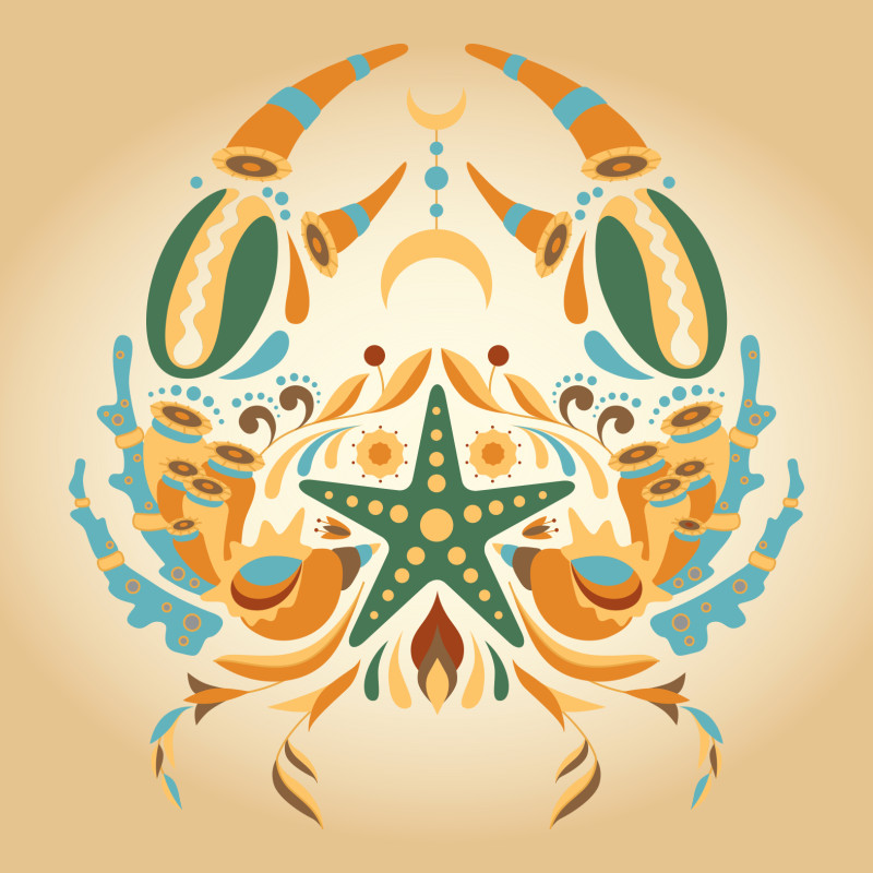 Samtkissen Zodiac Art – Krebs floral