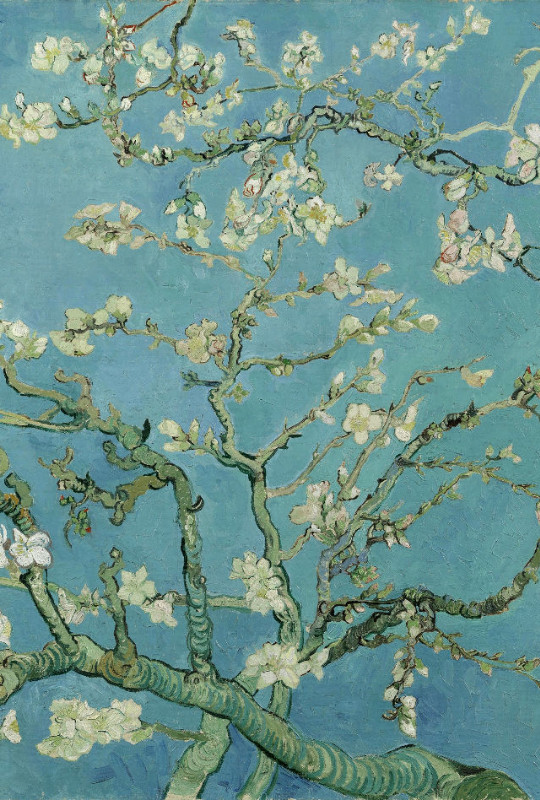 Motivbettwäsche Van Gogh - Mandelblüte Mikrofaser