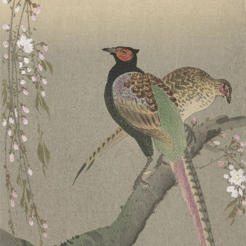Bettwäsche-Set Shôson - Blumen und Vögel Mikrofaser