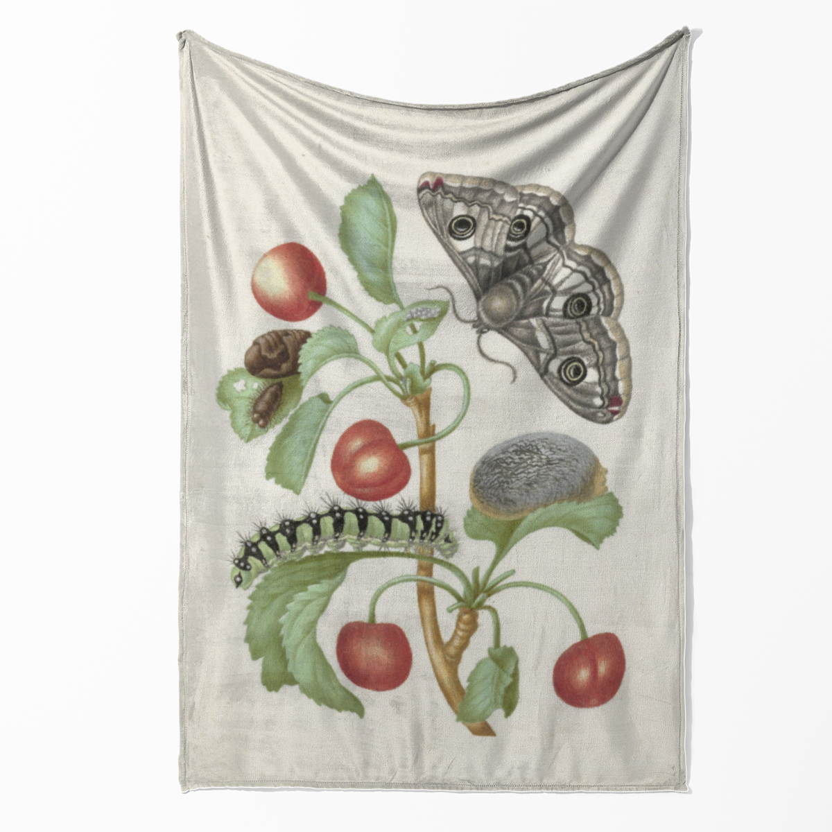 Kuscheldecke Transformation des Nachtpfauenauges Merian