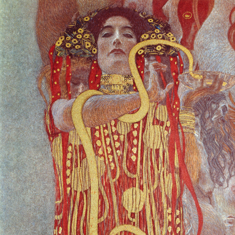 Motivbettwäsche Klimt - Hygieia Baumwolle